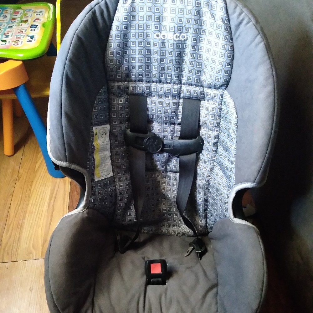 Toddler carseat